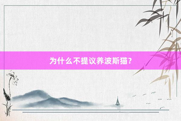 为什么不提议养波斯猫？