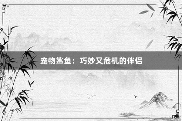 宠物鲨鱼：巧妙又危机的伴侣