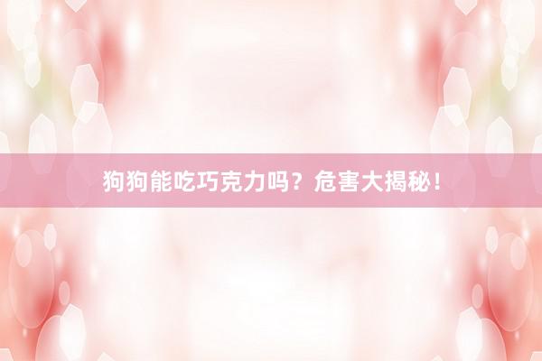 狗狗能吃巧克力吗？危害大揭秘！