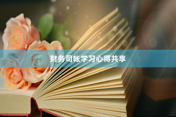 财务司帐学习心得共享